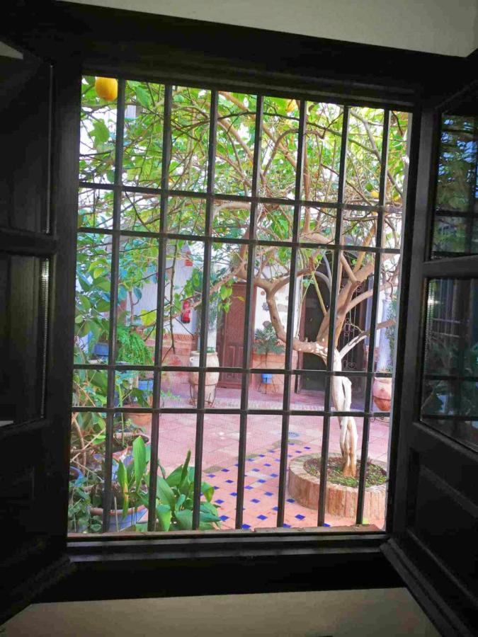 Casa Patio Los Suenos De Daury II Кордова Екстер'єр фото
